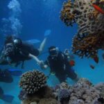 9 несподіваних фактів про Червоне море