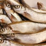 Вживання дрібної риби цілою може зменшити ризик передчасної смерті