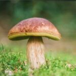 Знайдено продукт молодості, і він доступний абсолютно всім – відкриття американських вчених