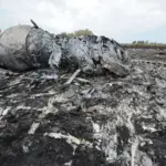 Історія одного фото: катастрофа літака MH-17