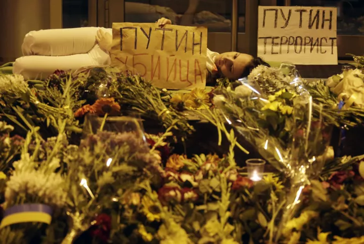 Історія одного фото: катастрофа літака MH-172