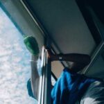 Дуже простий спосіб помити вікна та дзеркала без розводів та хімікатів