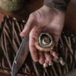Альтернатива сонцю: 6 продуктів з високим вмістом вітаміну D