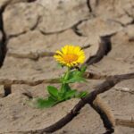 Запаси прісної води на планеті стрімко зменшуються