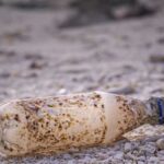 Забруднення пластиком визнано серйозною загрозою для здоров'я людини