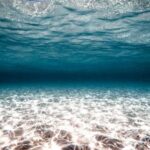 Перевернутий підводний світ: на морському дні виявлено аномальні піщані утворення