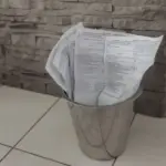 Сморід із відра для сміття зникне: просто насипте на дно те, що ви зазвичай викидаєте в нього
