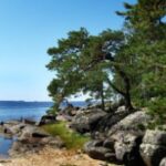 Чим біломорський острів Кий приваблює туристів? Самобутня природа та заговорені монастирські скарби