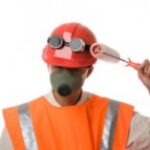 Які помилки не варто робити при виборі професії?