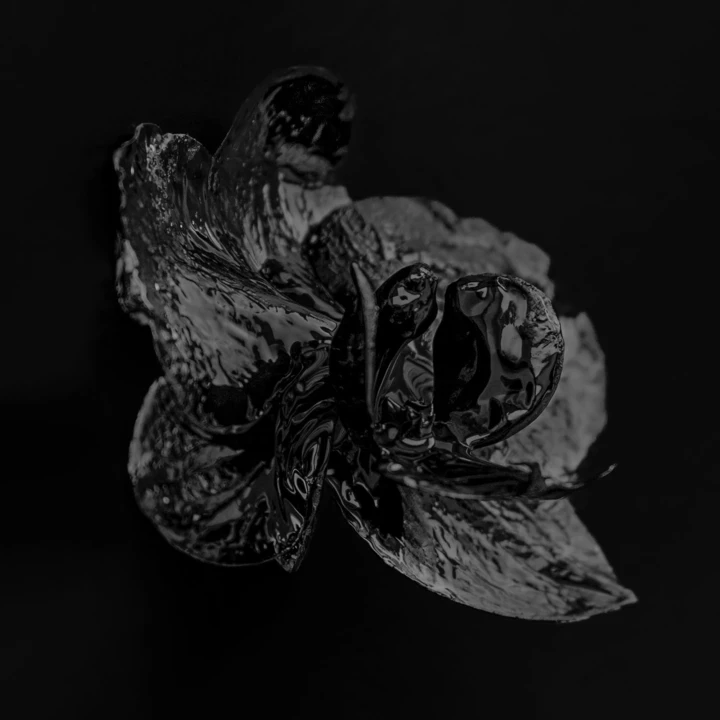 NEW VOICES: виставка сучасної української фотографії в Парижі2