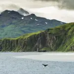 Доступна мандрівка: відкривай віддалені куточки світу