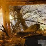 Російські війська втрачають позиції в Куп’янську.