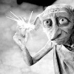 Загадкові істоти