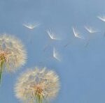 Як припинити втрачати свої гроші? Соромно бути бідним!