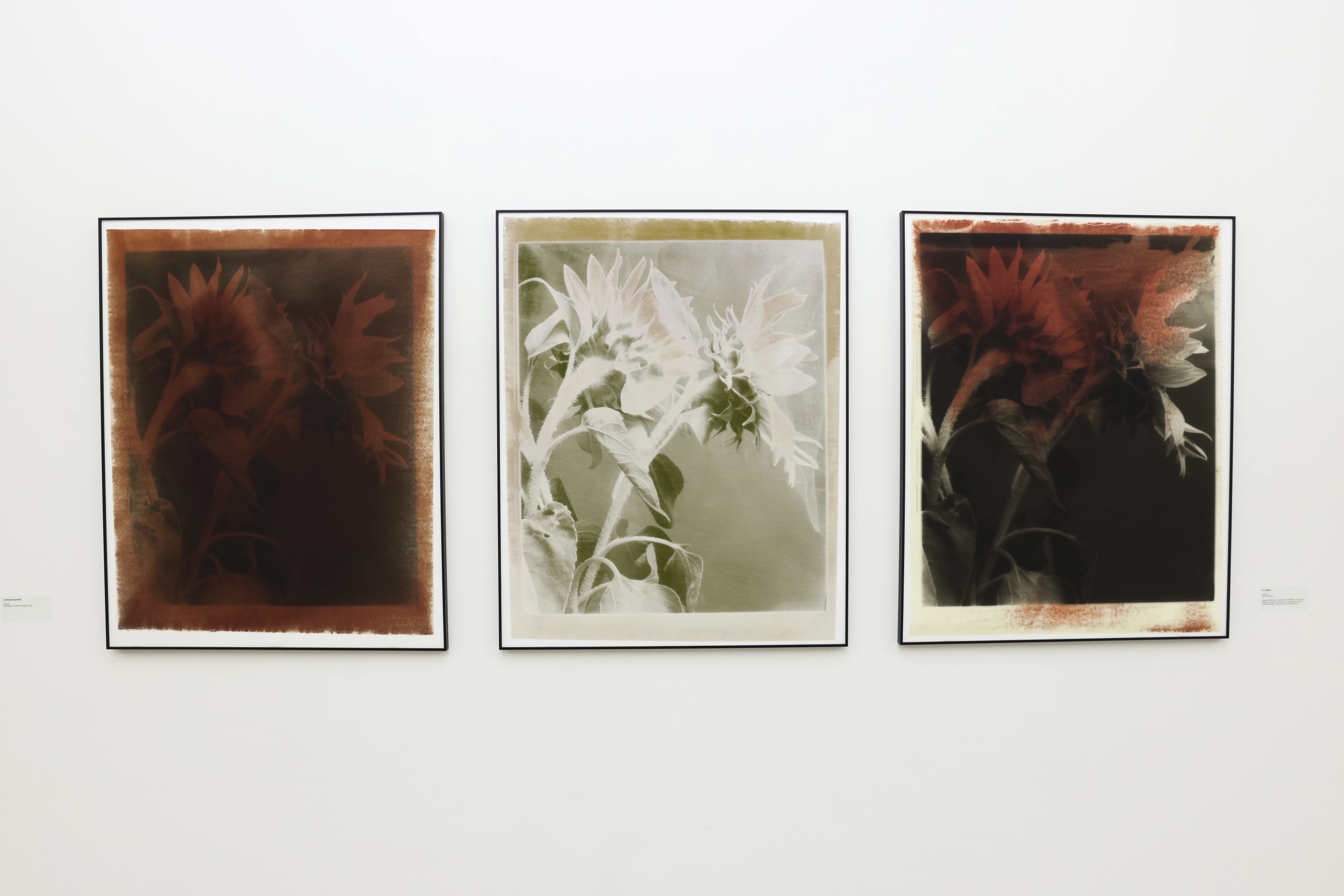 Фото: Вік Бакін4