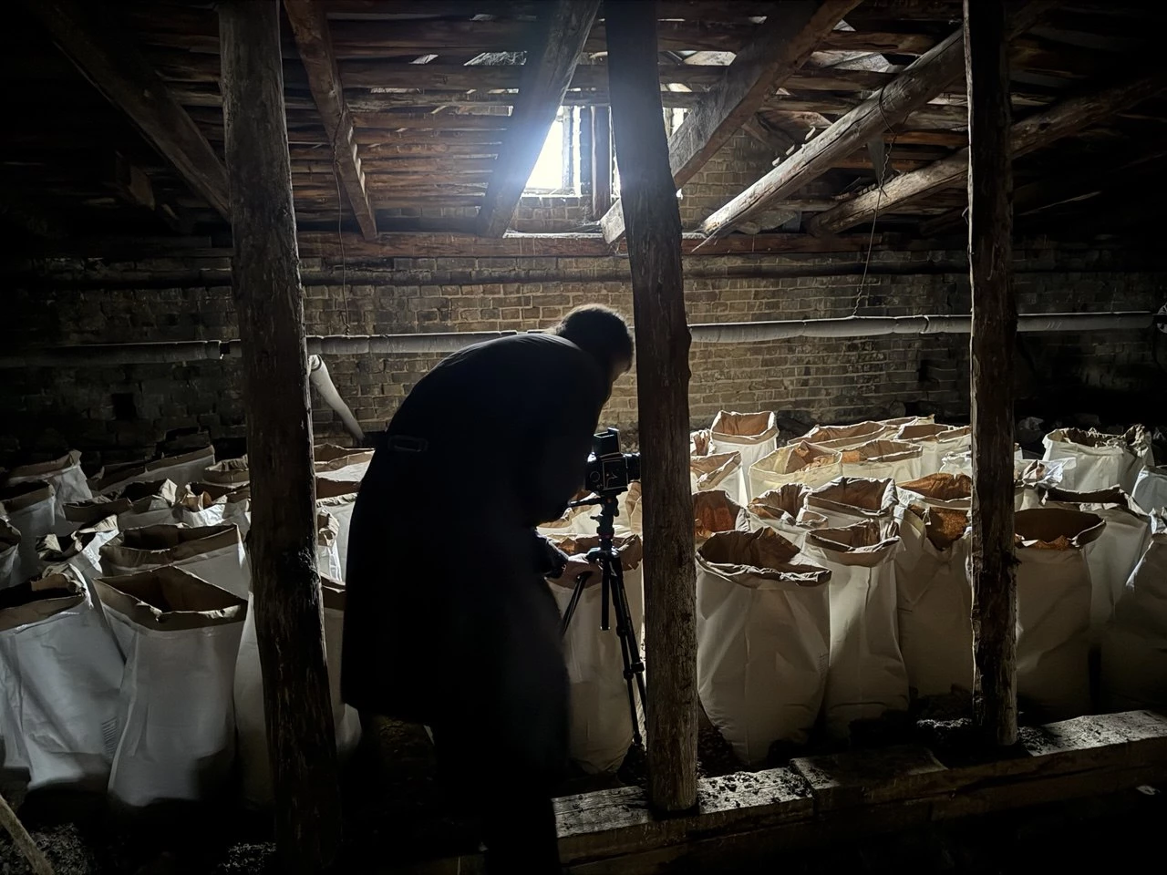 Як художник Іван Грабко наповнює історичну архітектуру сучасним мистецтвом3