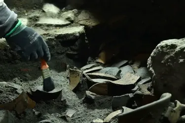 Розкрито таємниці поховання 1325 року: що нового дізналася наука з&hellip;