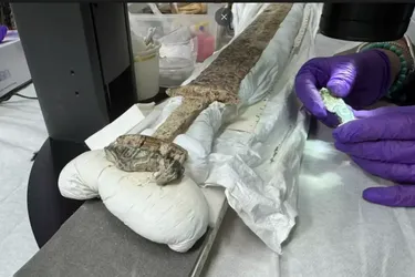 Головна 125 Знайдений в Англії 1500-річний рунічний меч: розкрито його наукову цінність