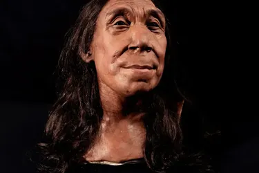 Нова теорія вчених: Чому зникли неандертальці – розкриваємо таємницю вимирання