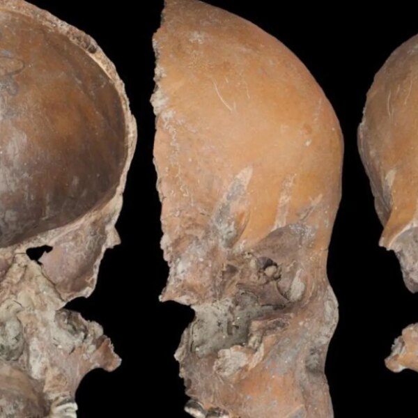 Археологи виявили 5000-річні чаші з людських кісток у Китаї