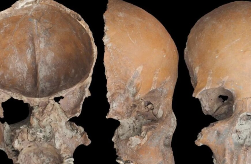 Археологи виявили 5000-річні чаші з людських кісток у Китаї