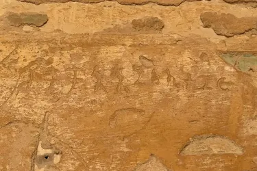 Головна 119 Знайдено древні індійські написи в Єгипті: розкрито таємниці перших століть