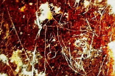 Розкрито таємницю наскельного зображення перського&hellip;