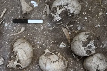 Головна 84 Розкрито поховання IX століття: археологи зробили знахідку століття в Англії