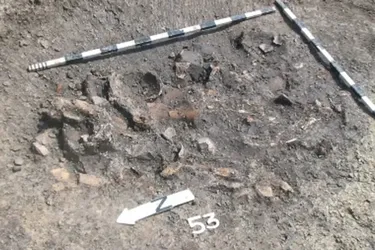 Неолітичне сміття розкриває таємниці побуту давніх українців: знахідки вражають