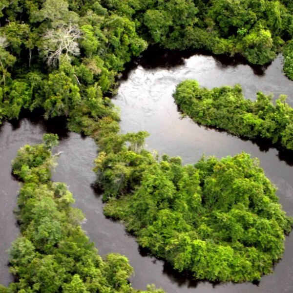 Головна 61 Зміна клімату в Амазонії: які загрози несе наука?