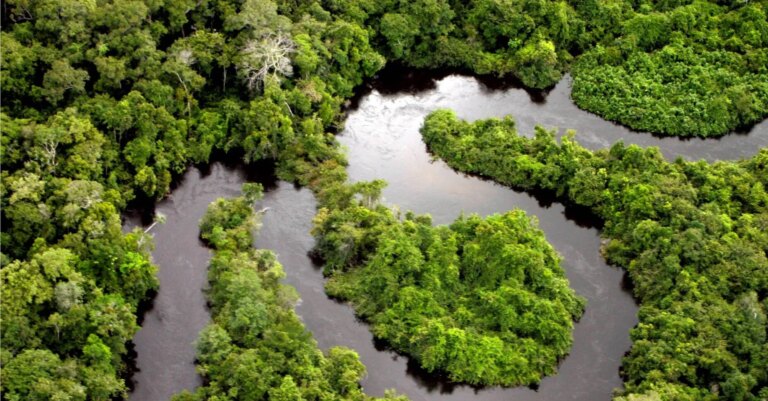 Зміна клімату в Амазонії: які загрози несе наука? 32 Зміна клімату в Амазонії: які загрози несе наука? 4