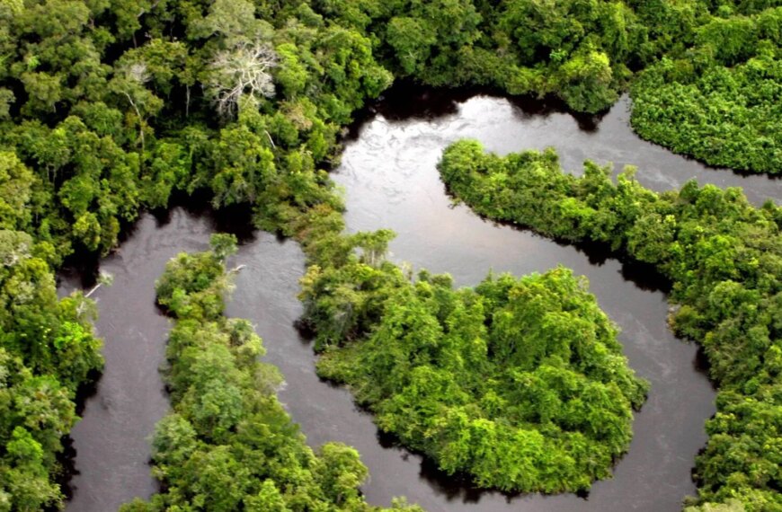 Головна 108 Зміна клімату в Амазонії: які загрози несе наука?