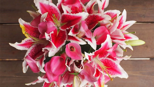 Розкрий глибину почуттів: обираємо квітковий код для Дня закоханих 10