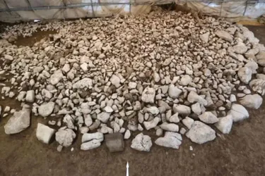 Знайдено курган доби Заліза у Швейцарії: відкриття, що змінює уявлення про минуле