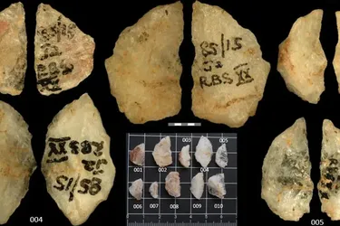 Головна 73 60 тисяч років: як отруйні наконечники стріл з Південної Африки…