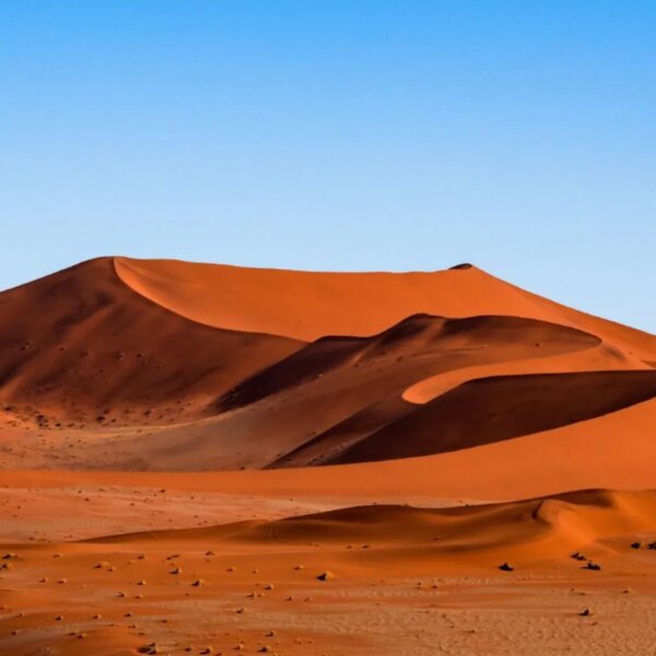 Розшифруймо петрогліфи Саудівської Аравії: давні…