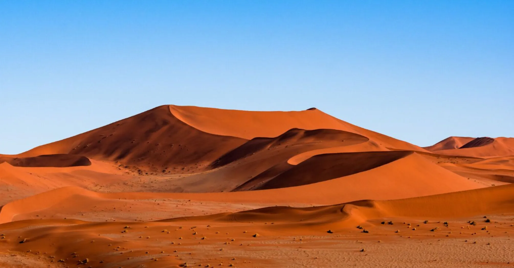 Археологи приголомшені: у пустелі виявили найдавніші 'дорожні знаки' віком 12 тис. років (фото)