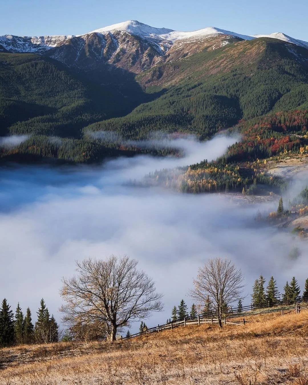 Зима у карпатській Верховині. Чим зайнятися де зупинитися та що роздивитися