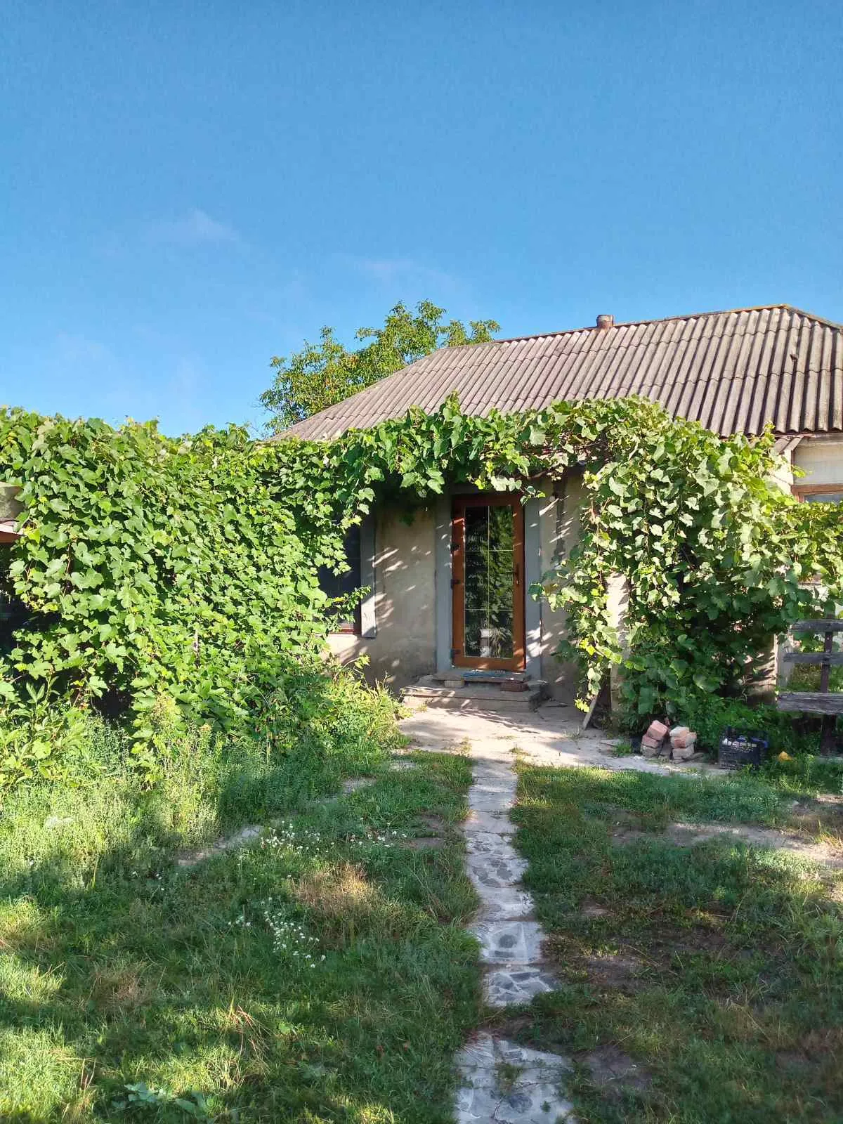 Відпочинок на Південному Бузі – Садиба Романських, Кіровоградська область