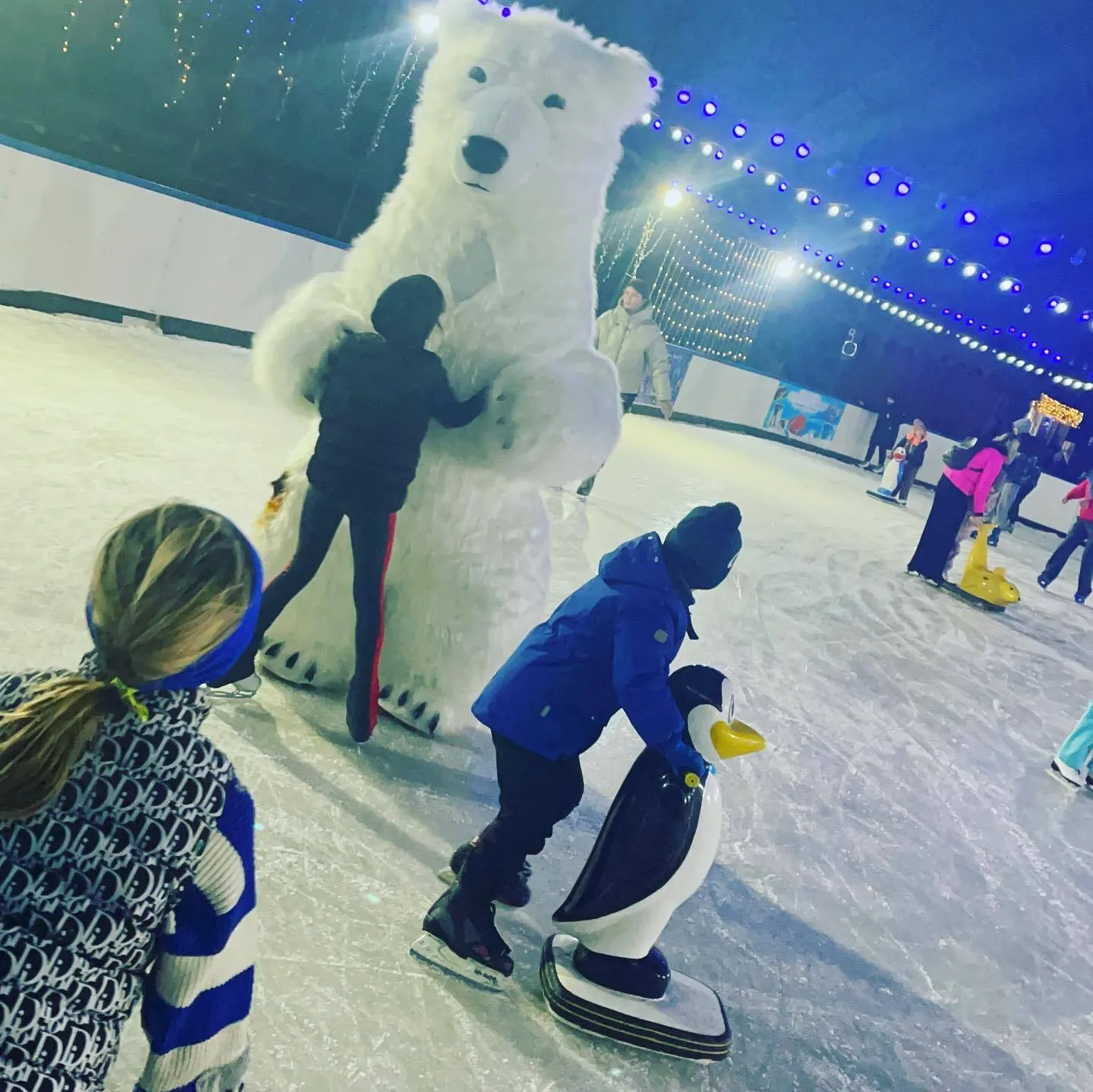 Відкритий каток 