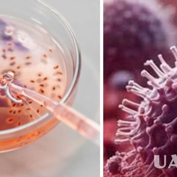 Розкрито 40-тисячолітній вірус: наука дістає минуле з льодів Аляски