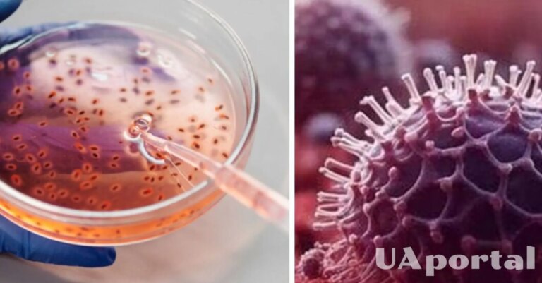 Розкрито 40-тисячолітній вірус: наука дістає минуле з льодів Аляски 9