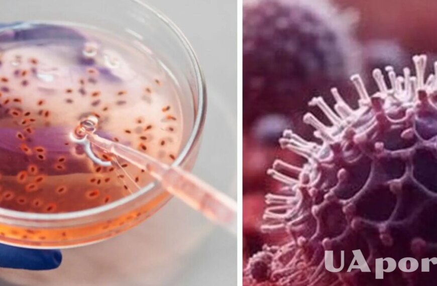 Розкрито 40-тисячолітній вірус: наука дістає минуле з льодів Аляски