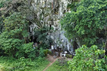 Головна 124 Відкрито найдавніші наскельні малюнки: 70 тисяч років мистецтва в Індонезії