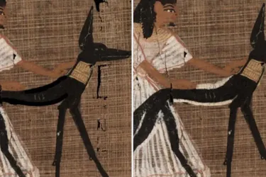 Головна 67 Як давньоєгипетські scribes виправляли неточності: розкриті секрети 3000-річної давнини