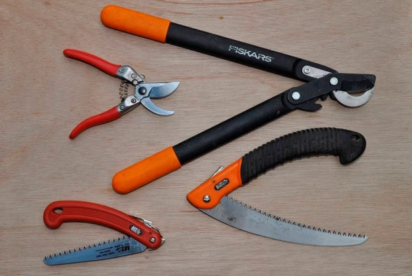 Набір садових інструментів