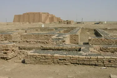 Головна 70 Шумери як виробники асфальту: наукове відкриття та фотографії