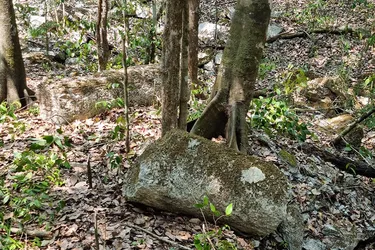 Розкрито таємниці майя: знайдено стародавні торгові площі на Юкатані 46 Розкрито таємниці майя: знайдено стародавні торгові площі на Юкатані 9