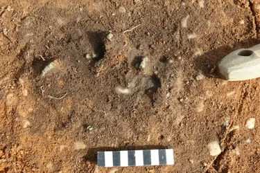 Розкрито 4500-річний некрополь у Німеччині: що приховує давня знахідка