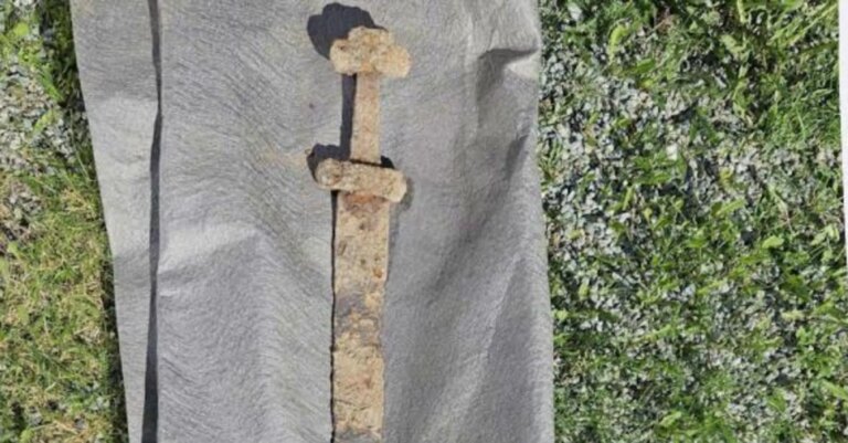 Відкрито меч вікінгів у Норвегії: науковці діляться знахідкою 15